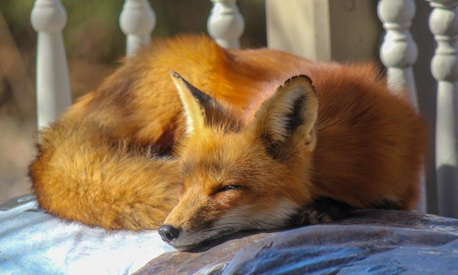 sleep and rest risk assessment example pdf