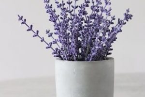 scent guide