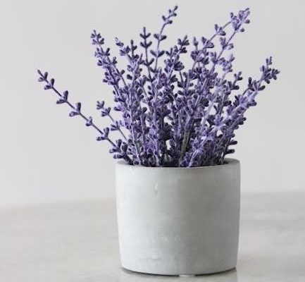 scent guide