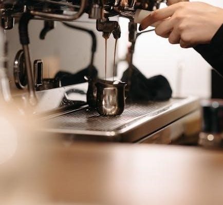 sage coffee machine instruction manual