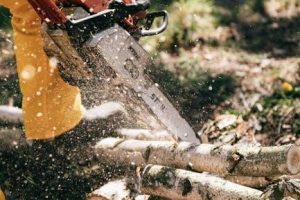 county line 25 ton log splitter manual