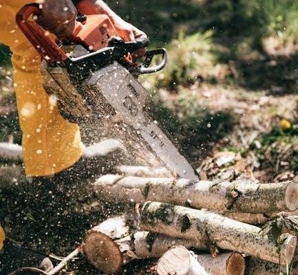 county line 25 ton log splitter manual