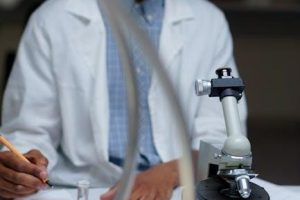 science fair research paper example pdf